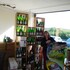 sommerhausen