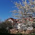 sommerhausen