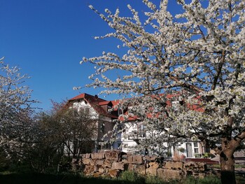 sommerhausen