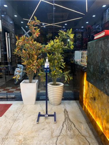 hotel royal suites