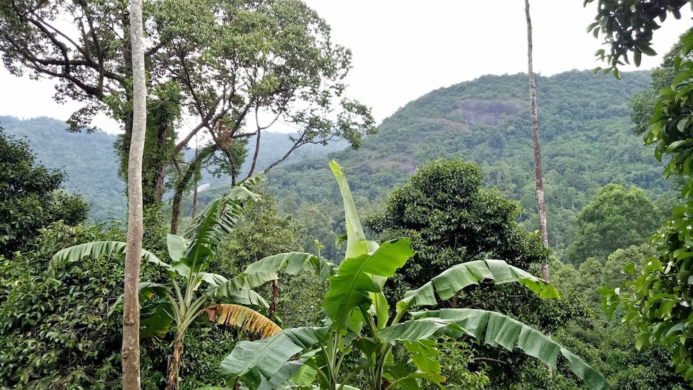 baan keree thara khiri wong
