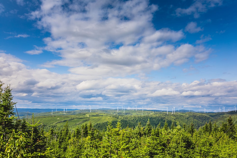 bleu mer hotel and residences