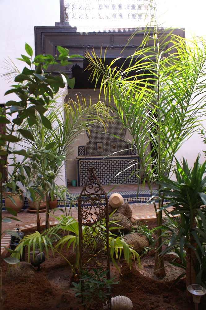 riad felloussia