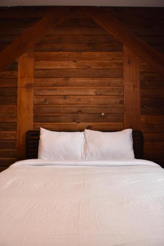 canmore hotel hostel