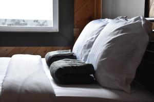 canmore hotel hostel