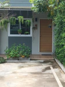 the rhea