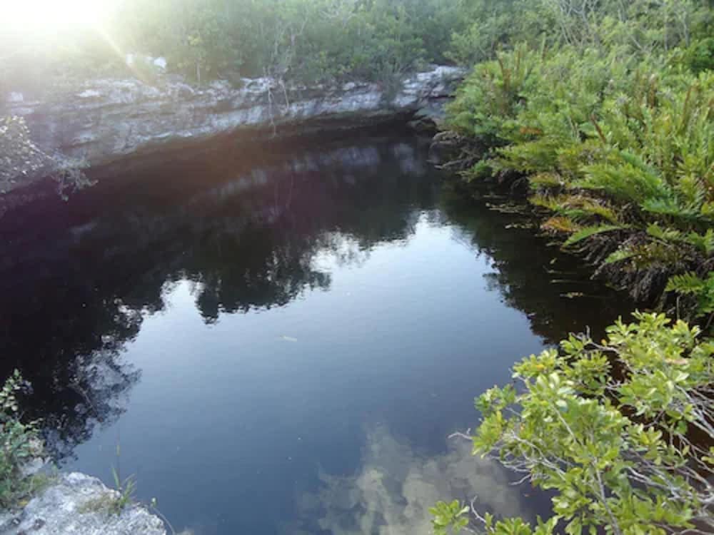 orange creek