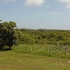 orange creek