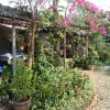 Grandma's Home Sangkhlaburi,Sangkhla Buri>>Nong Lu,2 star