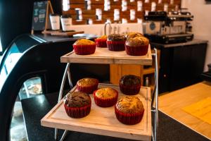 doubletree by hilton celaya