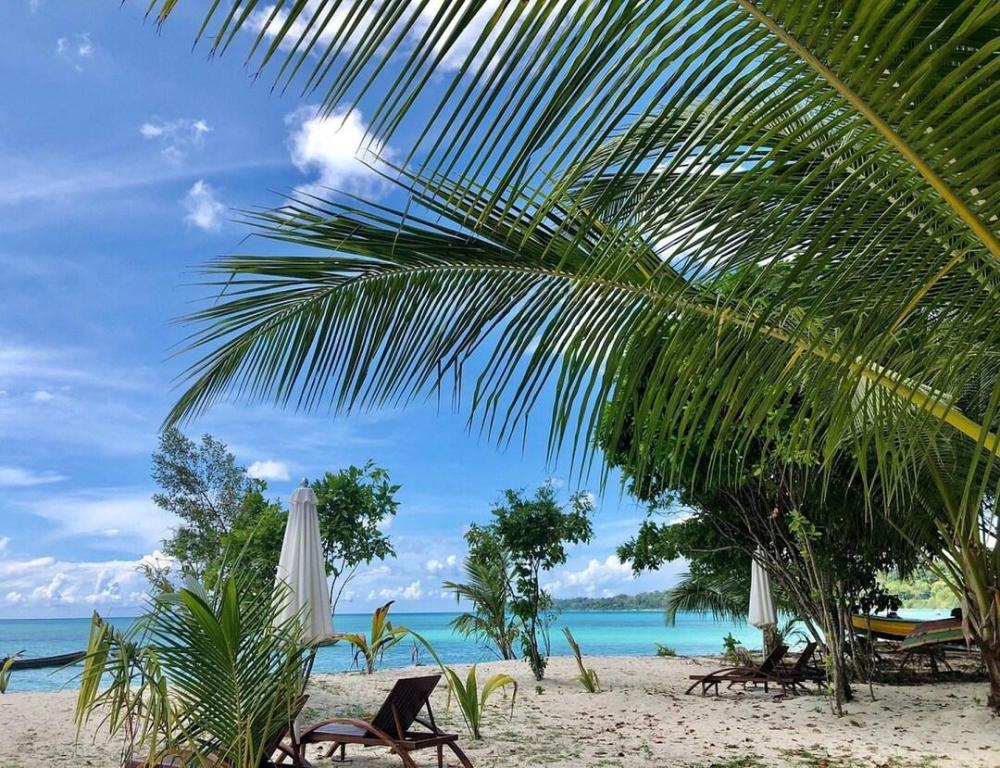 sandyy wavess beach resort