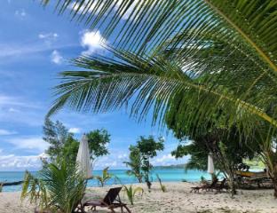 sandyy wavess beach resort