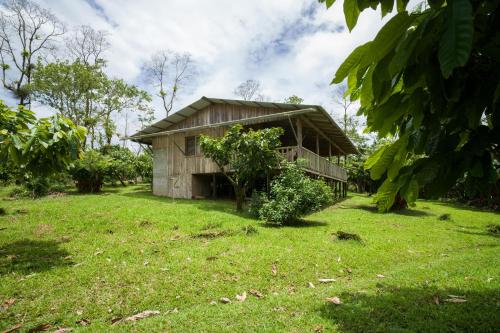 finca amistad cacao lodge