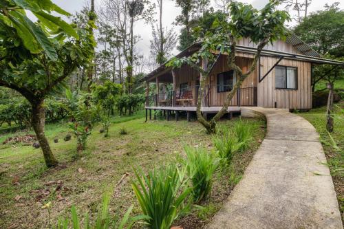 finca amistad cacao lodge