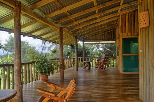 finca amistad cacao lodge