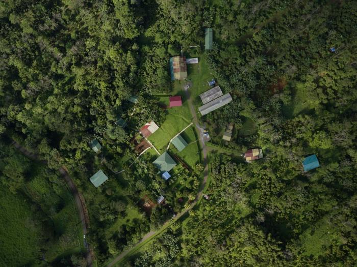 finca amistad cacao lodge