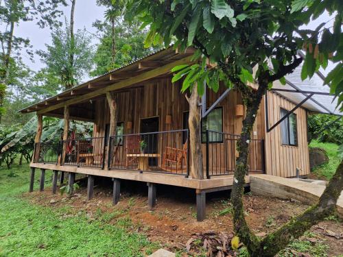 finca amistad cacao lodge