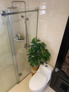 sunrise central hotel