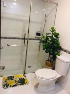 sunrise central hotel