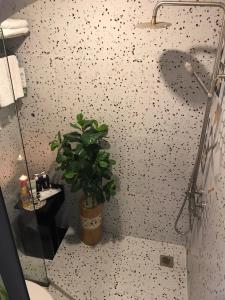 sunrise central hotel