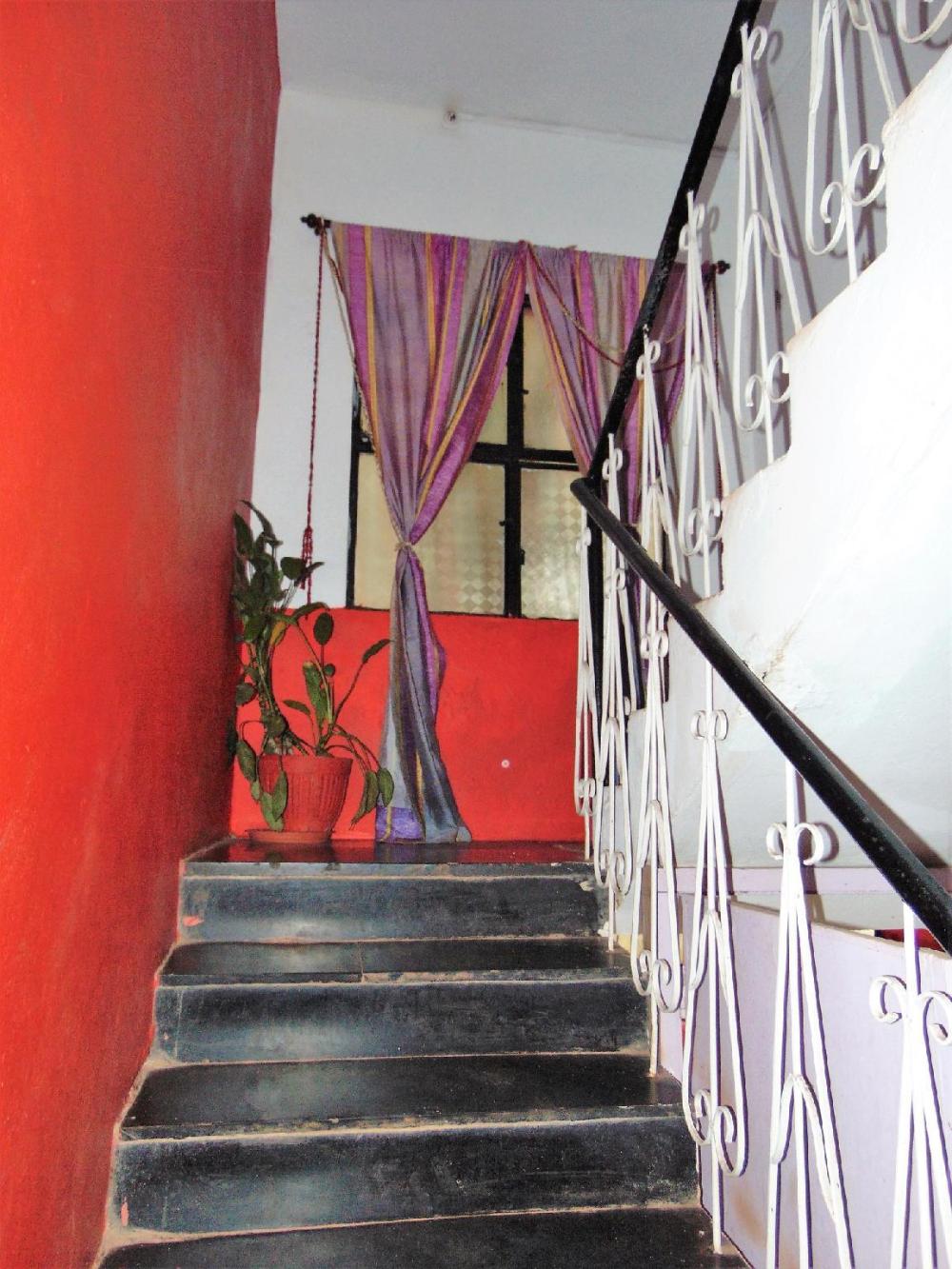 oceanic pearl beach guest house