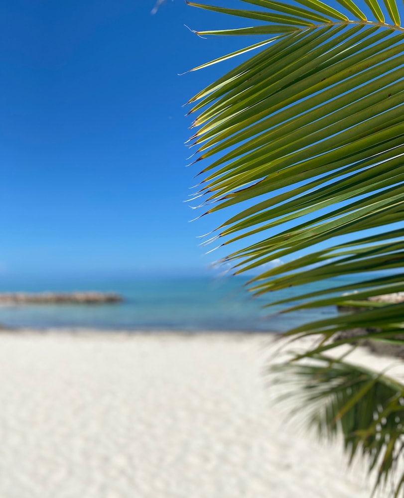 la casa de paz hotel