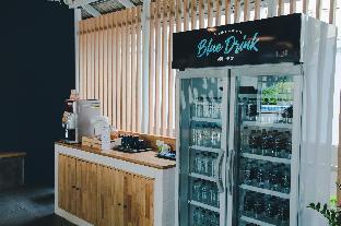 blue bed hotel