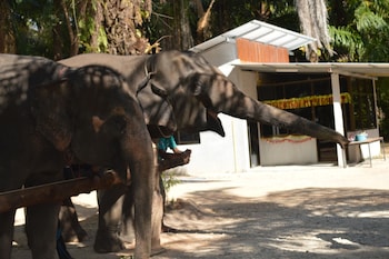 krabi