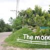 the money inn