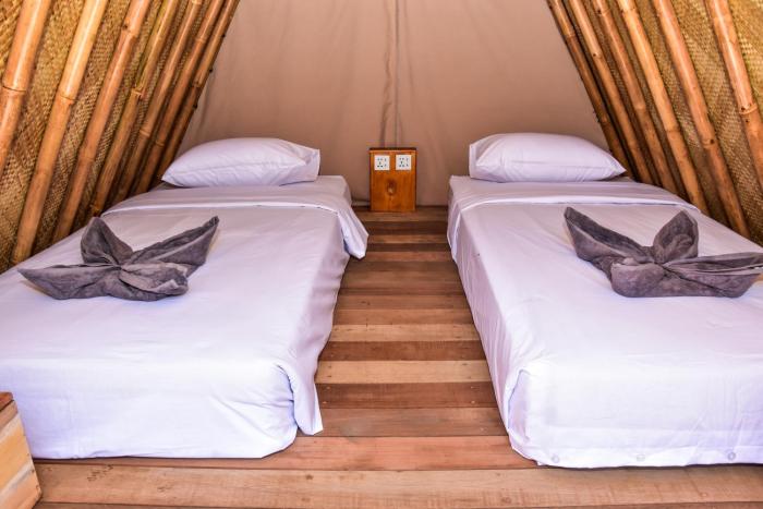 mad monkey gili trawangan hostel
