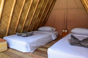 mad monkey gili trawangan hostel