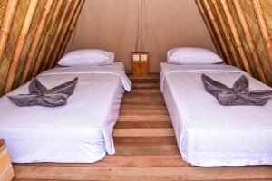 mad monkey gili trawangan hostel