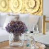 pafsilipon suites