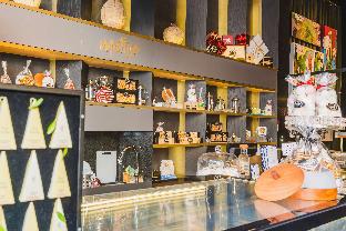umbral a curio collection by hilton