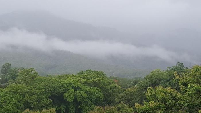 aunt and uncles house