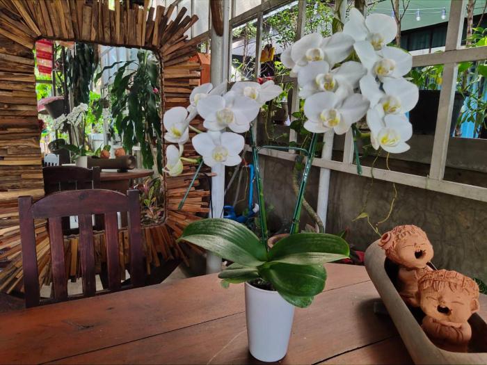 aunt and uncles house