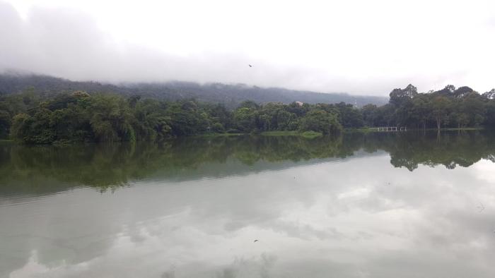 aunt and uncles house