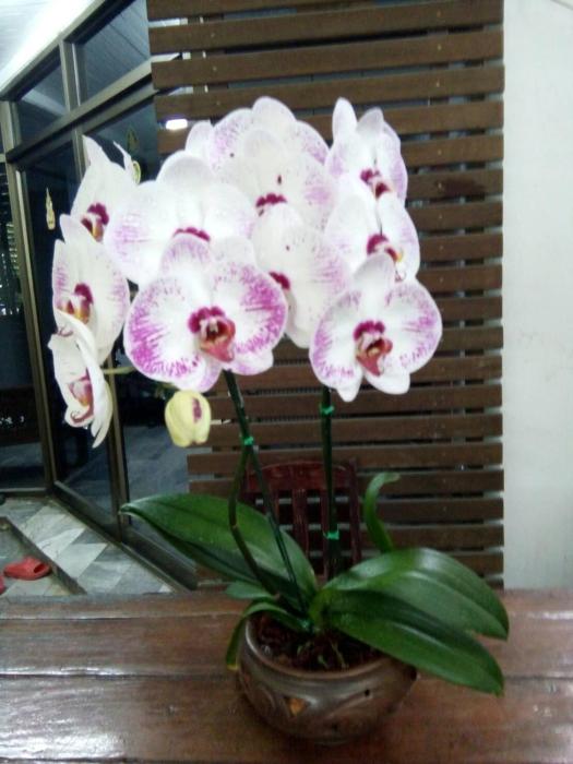 aunt and uncles house