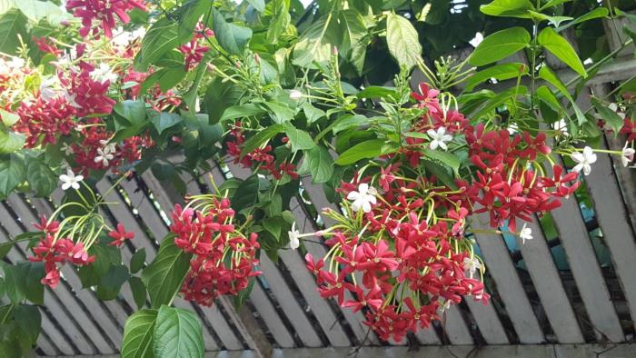 aunt and uncles house