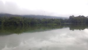 aunt and uncles house