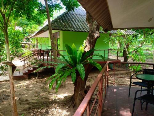khao sok garden resort