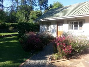 underberg
