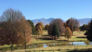 underberg