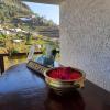 ooty