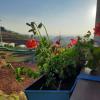 ooty