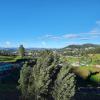 ooty