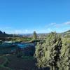 ooty