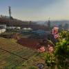ooty
