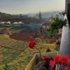 ooty