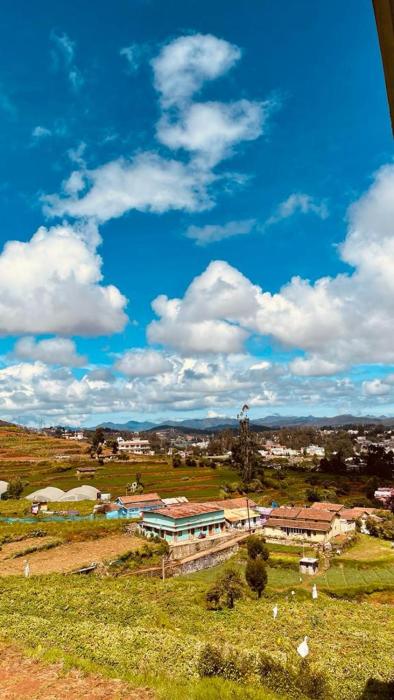 ooty